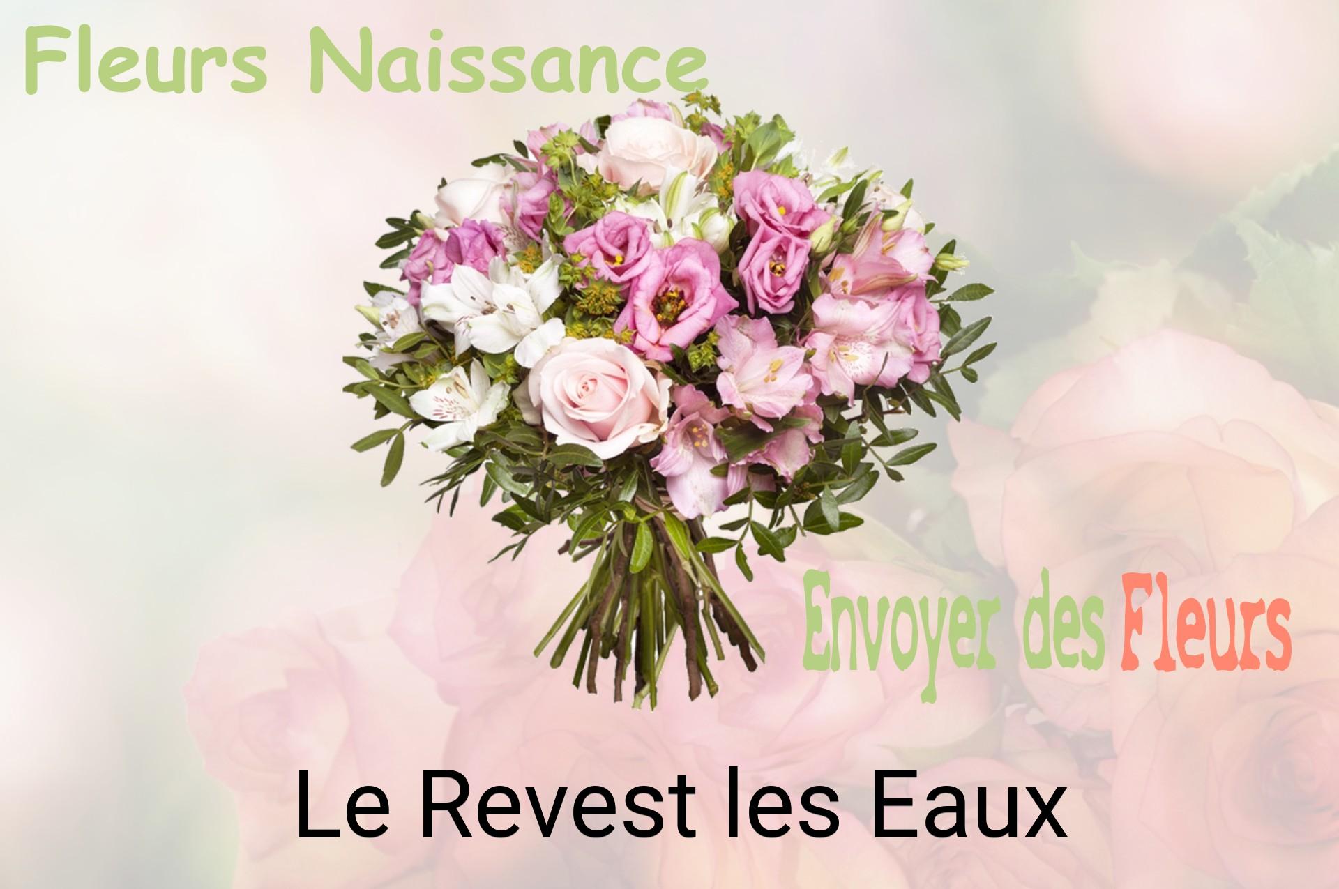 Bouquet de fleurs de naissance livré à Le Revest-les-Eaux